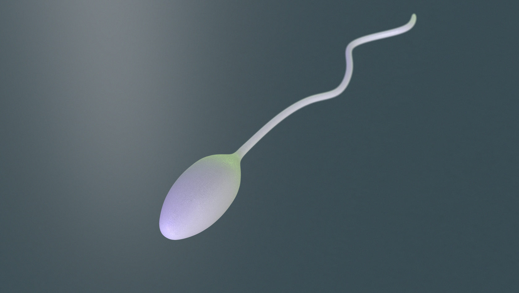 Польза Глотания Спермы
