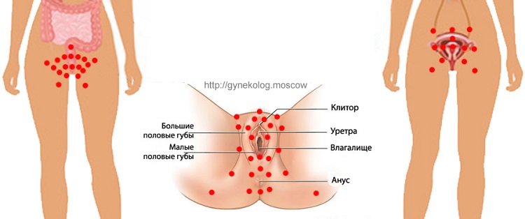 Писаюшие Крупным Планом