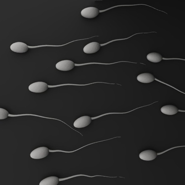 Быстрая Эякуляция Сперма Вязкая