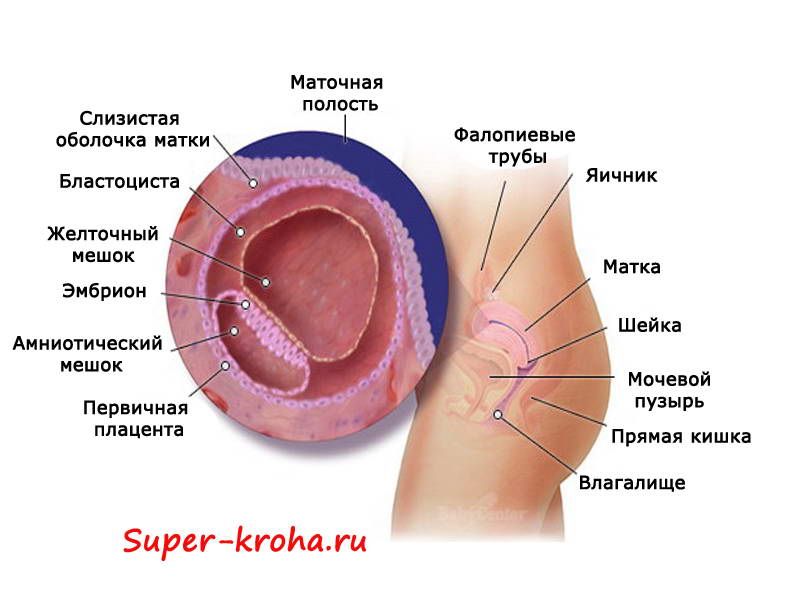 Влагалище Печет Ощущение Слизи