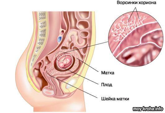 Ранний Срок Беременности Секс