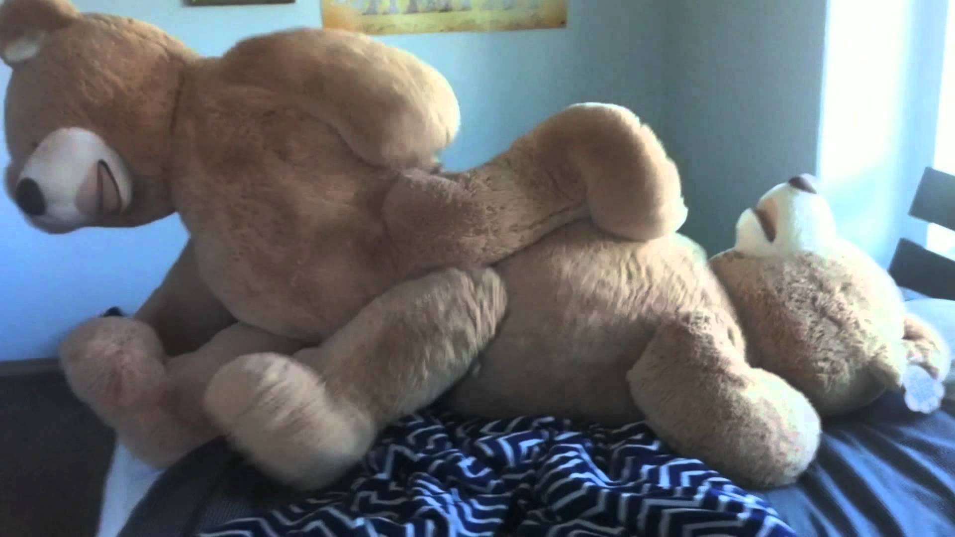 Порно Плюшевый Медведь
