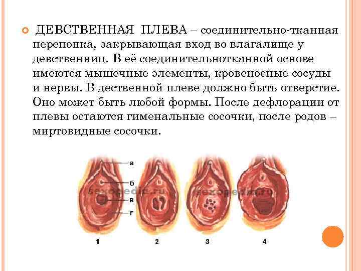 Девственость Лишение