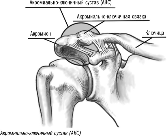 Порно Игра Пираты Карибского Моря