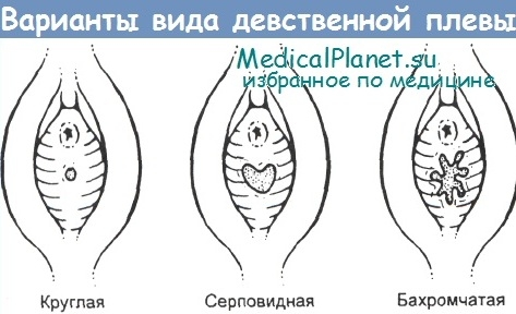 Смотреть Без Скачивания Видео Отверткой Лишают Девственность