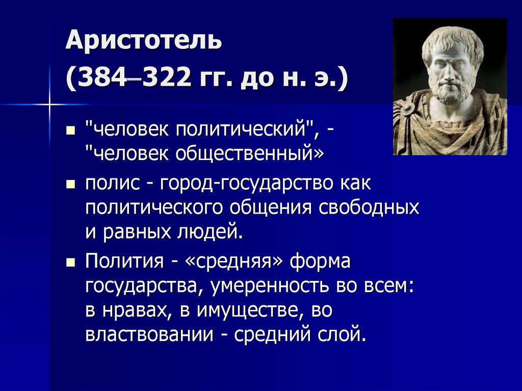 Строение Женских Половых Органов Клитор