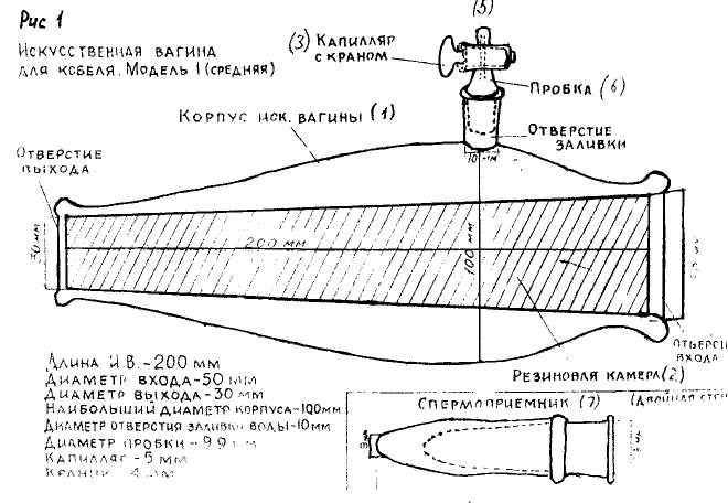 Сделать Самодельную Вагину