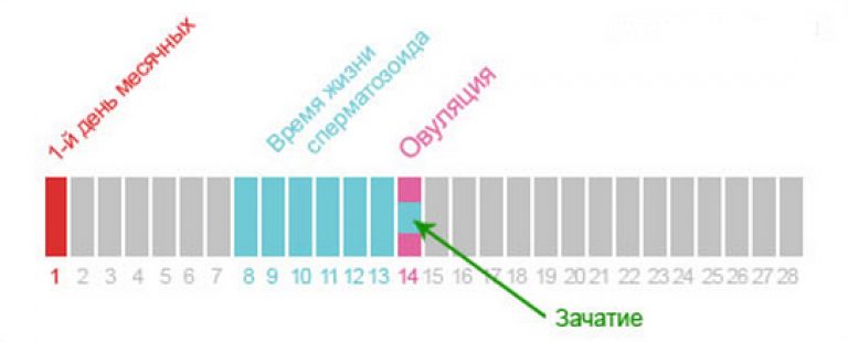 Бисекс В Армии