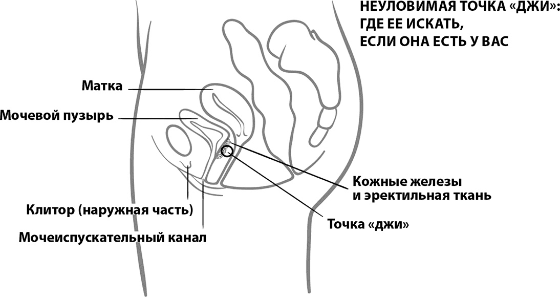 Как Научить Женщину Получать Полный И Множественный Оргазм