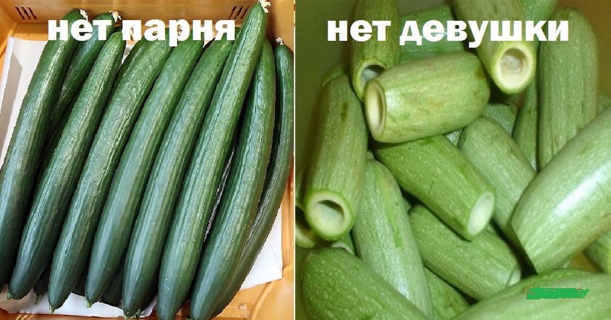 Овощи В Анале Фото