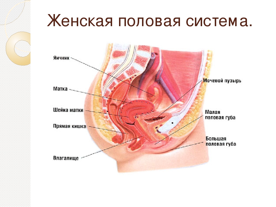 Рези Во Влагалище При Беременности