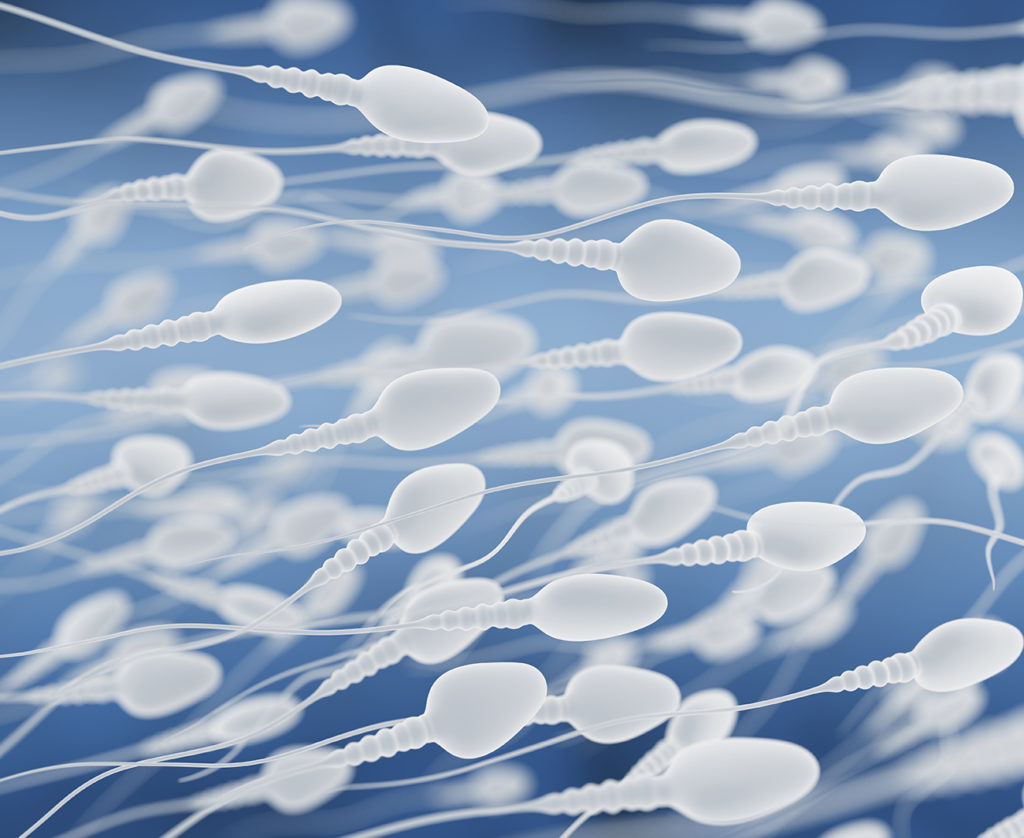 Польза Глотания Спермы