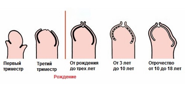 Порно Галереи Высокого Каблука