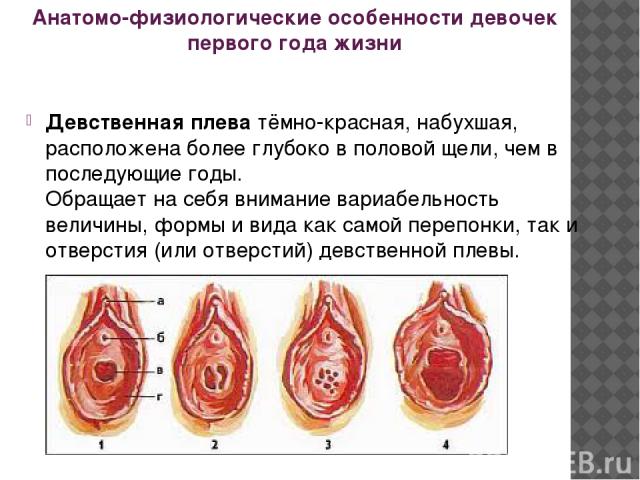 Порно Аватар Кора Смотреть