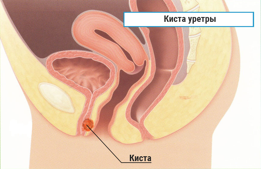 Порно Большие Жепы