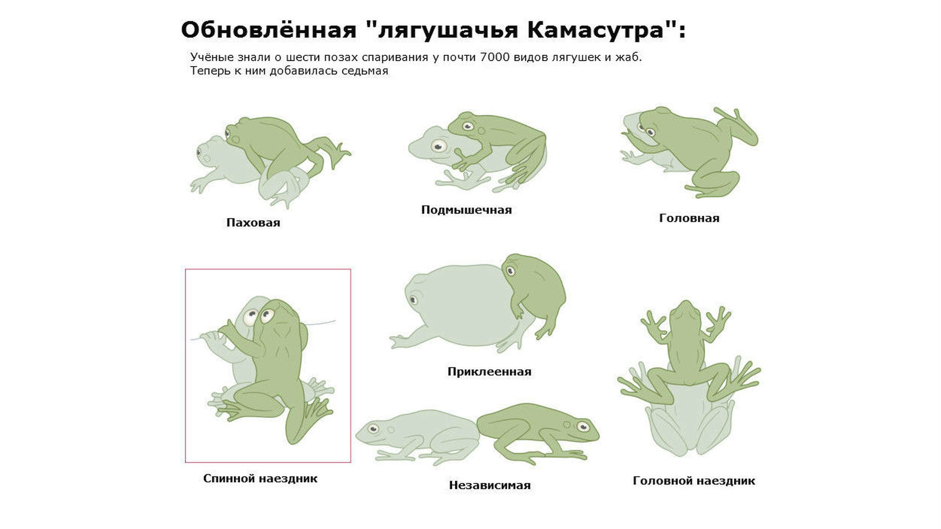 Трахает Юную Девочку Порно