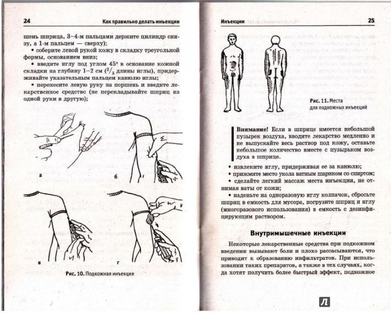 Официальное Руководство По Куннилингусу