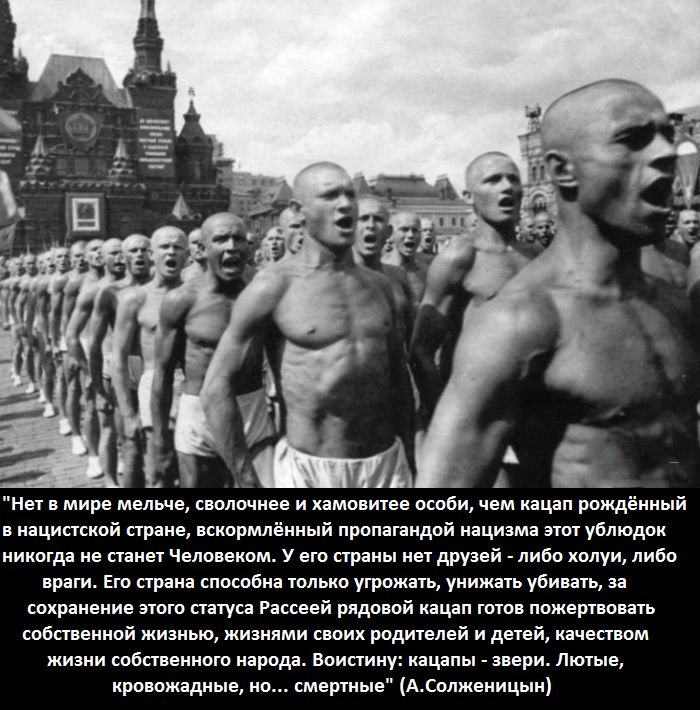 Скачать Мы Ебали Медведя
