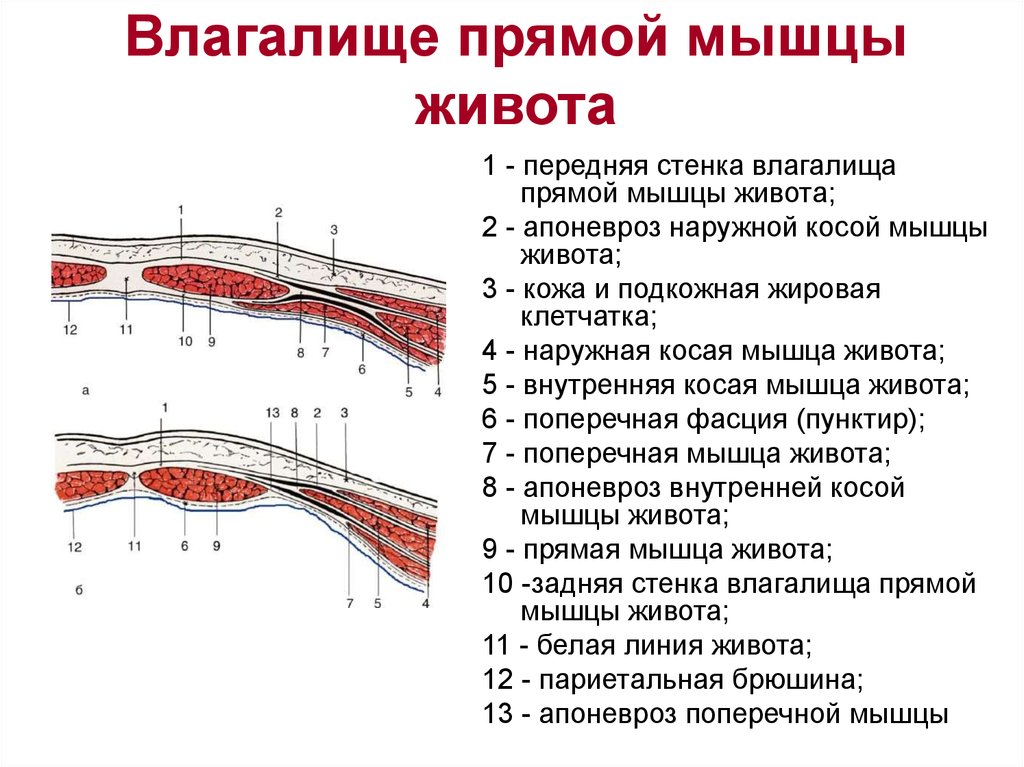 Эротическая Эмма Уотсон