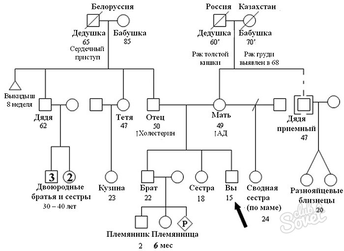 Сексуальная Связь С Троюродными Родственниками