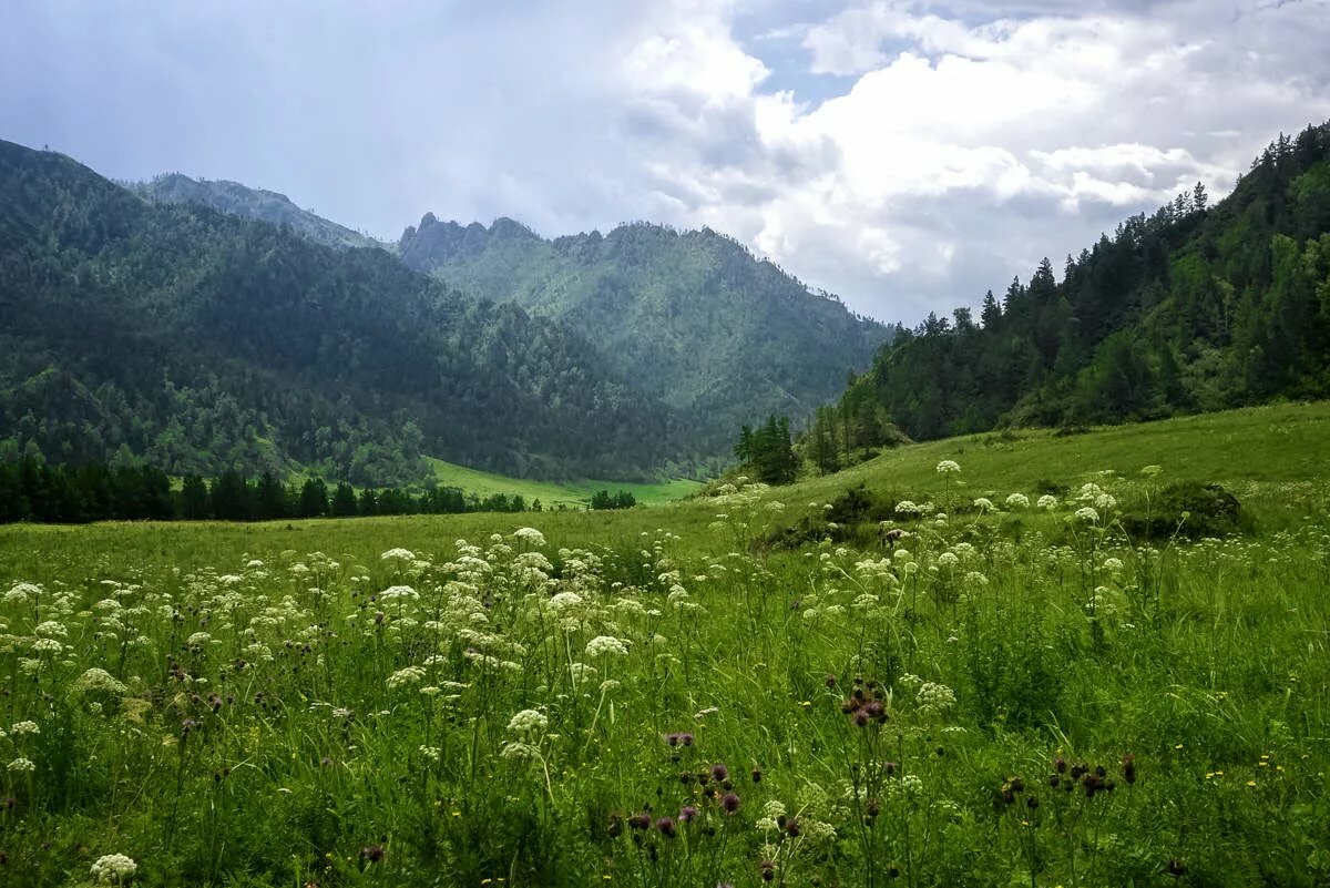 Порнокино Альпийские Луга