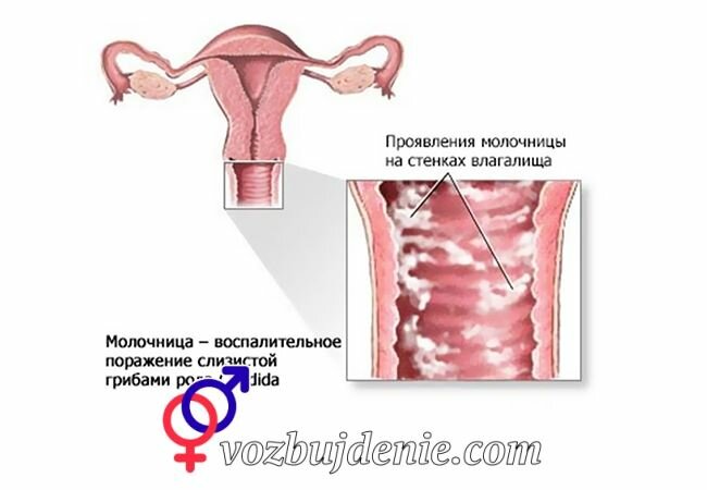 Загипнотизировала И Трахнула