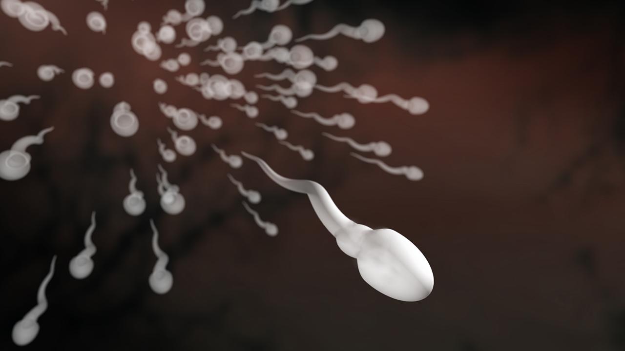 Фото Спермы Вытекающей Из Анала