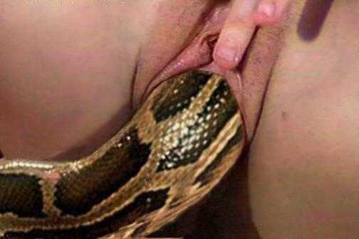 Видео Экстремальное Порно Со Змеями