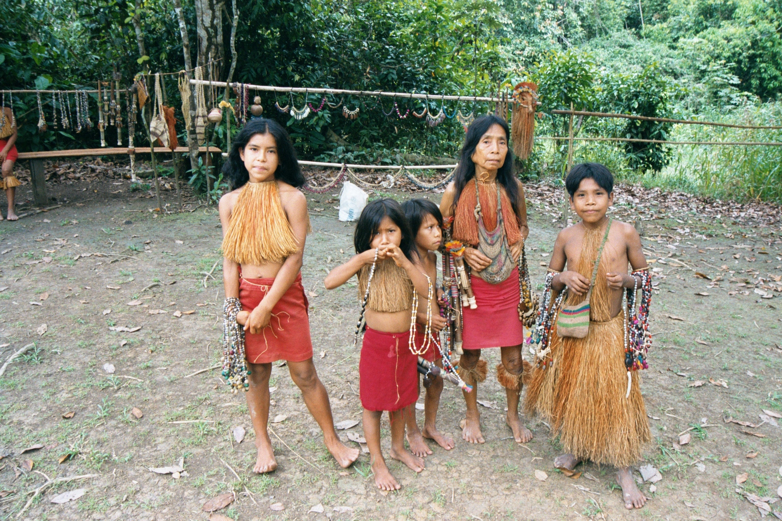 Индейцы В Дебрях Амазонки Секс