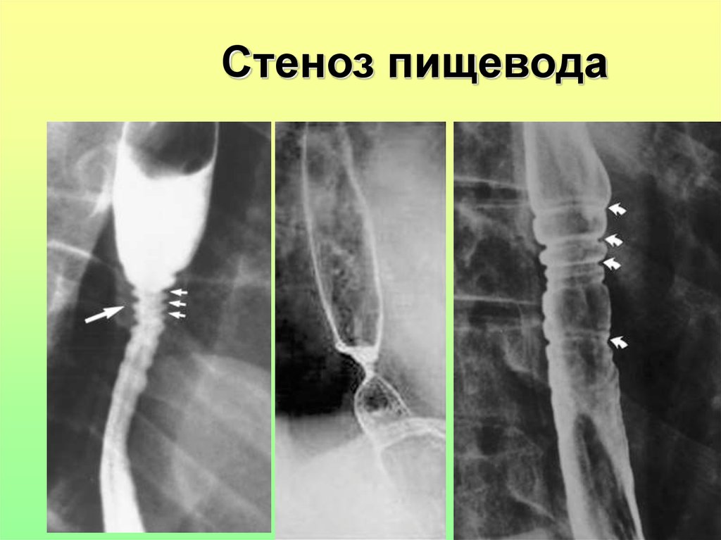 Виртуально Оттрахай Япорночку