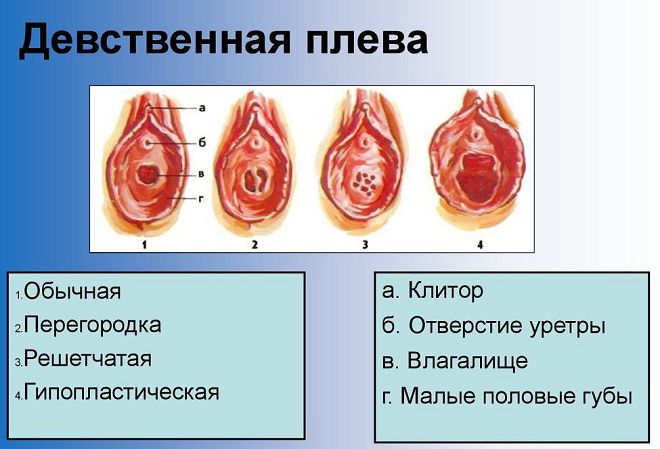 Лишение Девственности Отверткой