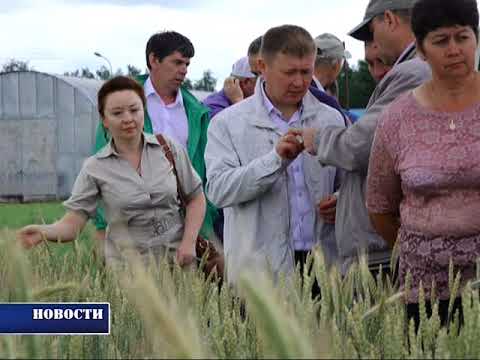 Выкуп Пая У Члена Спк