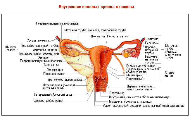 Посоветуйте Хороший Порно Фильм