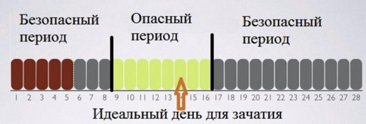 Безопасные Дни Для Занятия Сексом