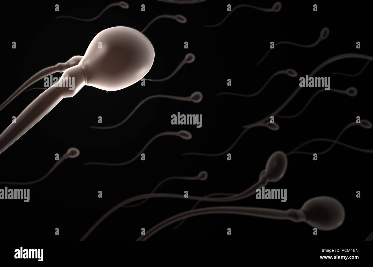 Быстрая Эякуляция Сперма Вязкая