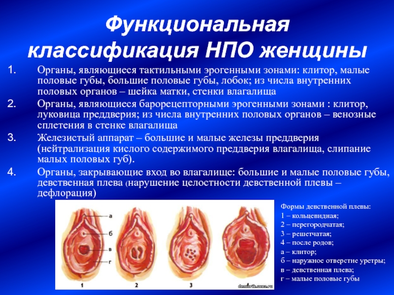 Чем Отличается Девственница От Недевственницы