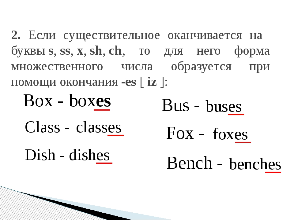 Слова Оканчивающиеся На Ню