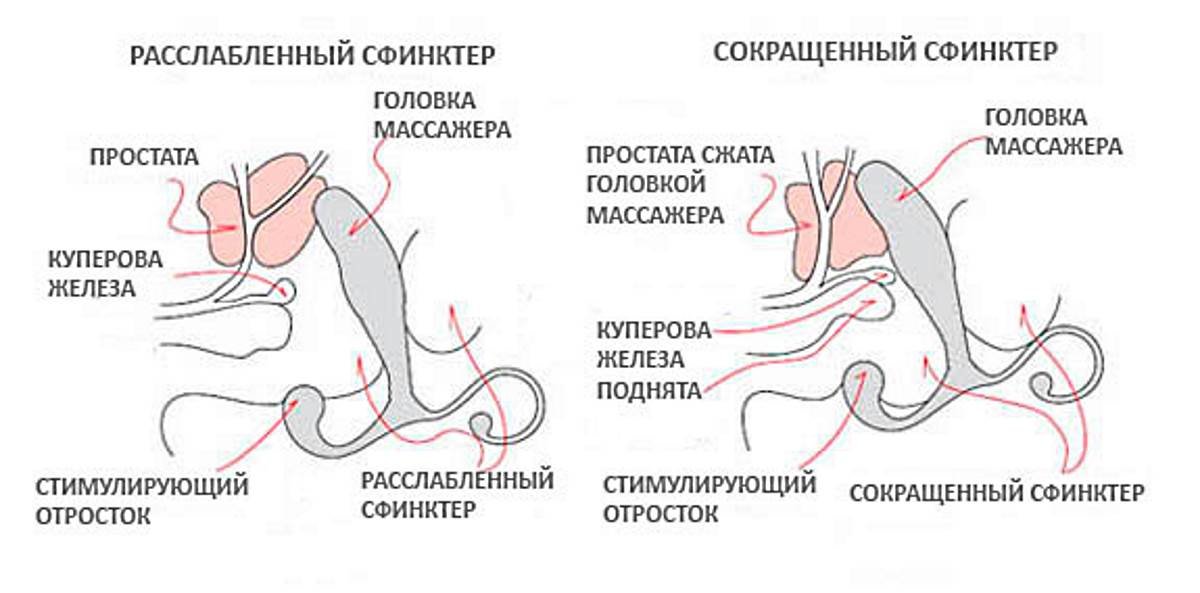 Если Дрочить Член Увеличится