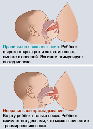 Глотание Спермы Во Время Кормления