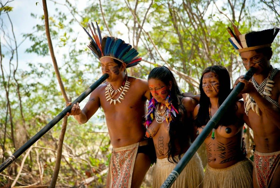 Индейцы В Дебрях Амазонки Секс