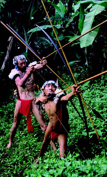 Инднйцы В Дебрях Амазонки Секс
