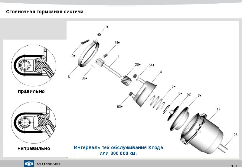 Молодые Девочки Порно