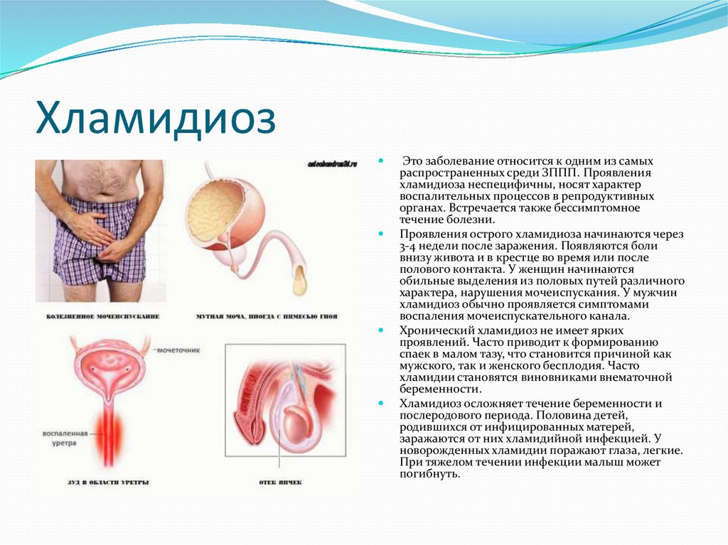 Опасность Мужчина Триппер Оральный Секс