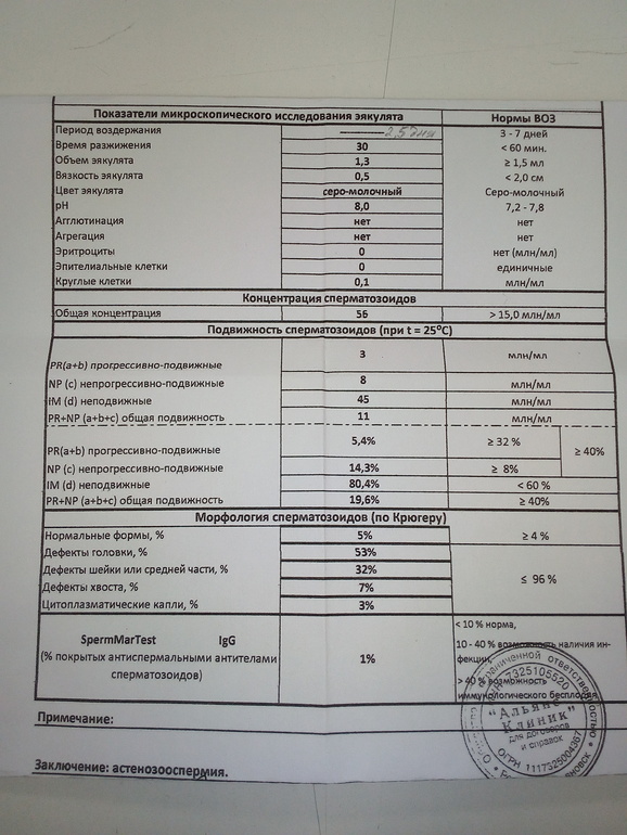 Плохая Морфология Спермограмма