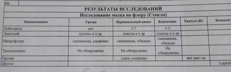 Порно С Трансвиститами Бесплатно