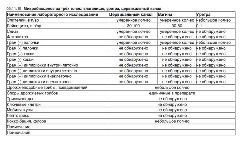 Повышенное Количество Лейкоцитов Во Влагалище