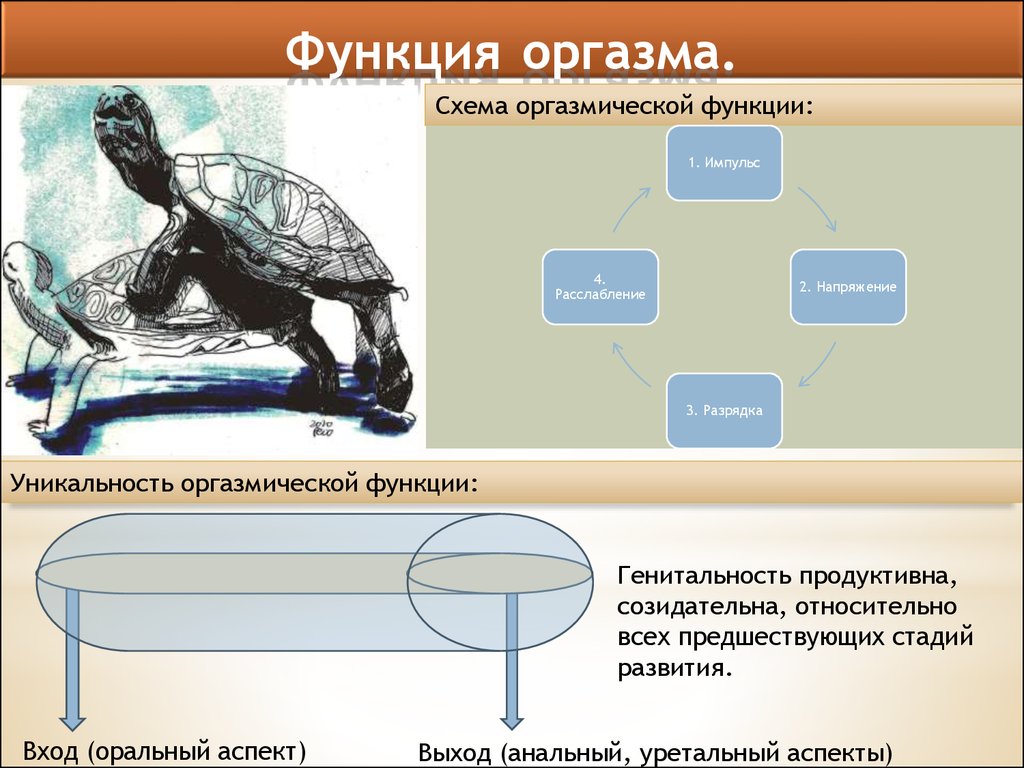 Порно С Беременными Последнем Сроке