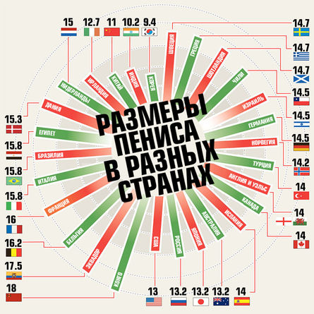 Размер Членов Нравящихся Девушкам