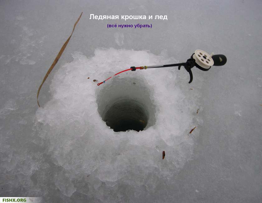 Секс Выбери Лунку