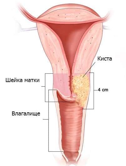 Порнофильм Марко Поло Онлайн